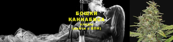 ГАЛЛЮЦИНОГЕННЫЕ ГРИБЫ Аркадак