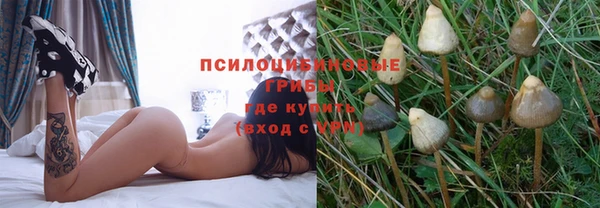 ГАЛЛЮЦИНОГЕННЫЕ ГРИБЫ Аркадак